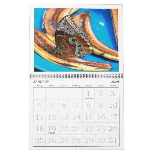 KALENDER 2026 "BUTTERFLIES" (Jan 2026)