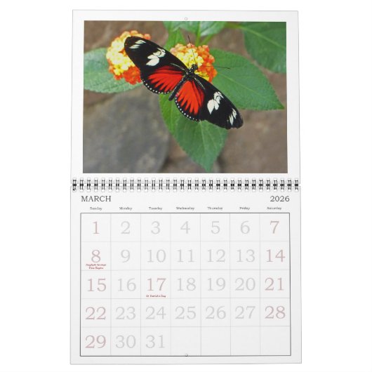 KALENDER 2026 "BUTTERFLIES" (Mär 2026)