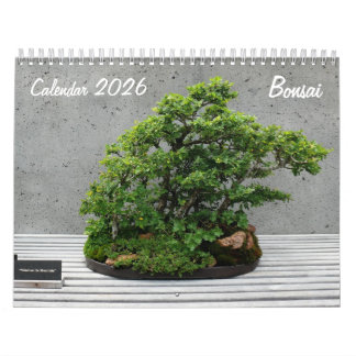 Kalender 2026 mit Bonsai