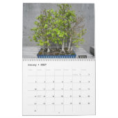 Kalender 2026 mit Bonsai (Jan 2027)