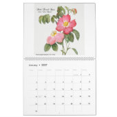 Kalender 2026 - Rose - P.J. Redouté (Jan 2027)