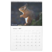 Kalender 2026 Schottische Tierwelt (Jan 2027)