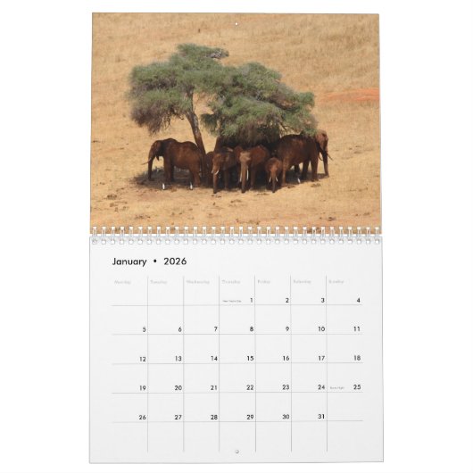 Kalender 20xx - Afrika (Jan 2026)