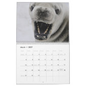Kalender 20xx - Antarktis (Mär 2027)