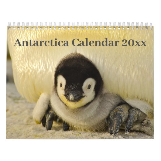Kalender 20xx - Antarktis (Titelbild)