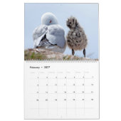 Kalender 20xx - Neuseeland (Feb 2027)