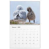 Kalender 20xx - Neuseeland (Feb 2026)