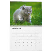 Kalender 20xx - Niedliche Kätzchen und Katzen (Feb 2026)