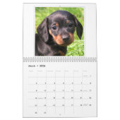 Kalender 20xx - Niedliche Welpen und Hunde (Mär 2026)