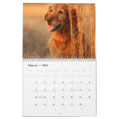 Kalender 20xx - Niedliche Welpen und Hunde (Feb 2026)