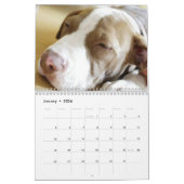 Kalender 20xx - Niedliche Welpen und Hunde (Jan 2026)