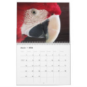 Kalender 20xx - Südamerika (Mär 2026)