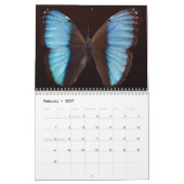 Kalender 20xx - Südamerika (Feb 2027)