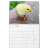 Kalender 20xx - Vögel (Mär 2027)