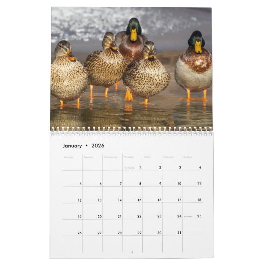 Kalender 20xx - Vögel (Jan 2026)
