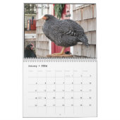 Kalender 3: Die Menge des Huhn-Kükens (Jan 2026)