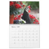 Kalender 3: Die Menge des Huhn-Kükens (Feb 2027)