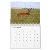 Kalender afrikanischer Tiere (Feb 2027)