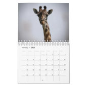 Kalender afrikanischer Tiere (Jan 2026)