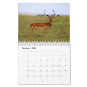 Kalender afrikanischer Tiere (Feb 2026)