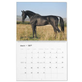 Kalender. Akhal-teke PFERDE. 2017 Kalender (Mär 2027)