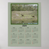 Kalender - Alpaca-Kalender 2024 Poster (Vorne)