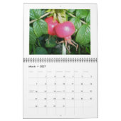 Kalender - Am schönen Meer (Mär 2027)