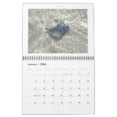 Kalender - Am schönen Meer (Jan 2026)