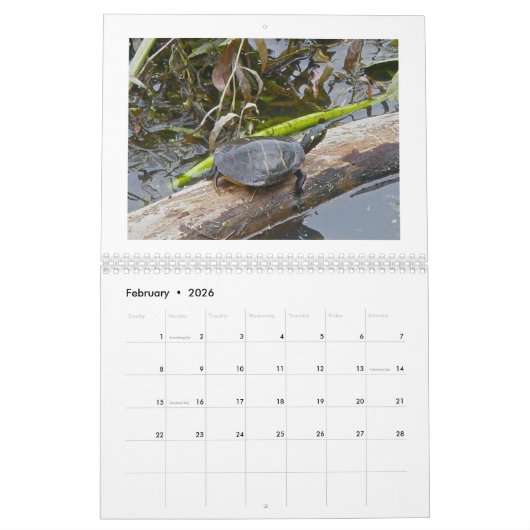 Kalender - am Teich (Feb 2026)