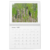 Kalender - am Teich (Jan 2027)