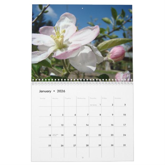 KALENDER-APPLE-BLÜTEN Kalender-Frühlings-Kunst Kalender (Jan 2026)