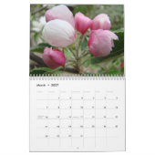KALENDER-APPLE-BLÜTEN Kalender-Frühlings-Kunst Kalender (Mär 2027)