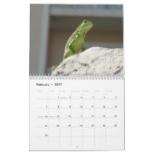 Kalender Aruba 2022 (Feb 2027)