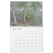 Kalender - Außenbanken - Buxton NC (Jan 2026)