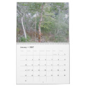 Kalender - Außenbanken - Buxton NC (Jan 2027)