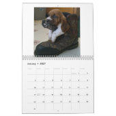 Kalender Basset 2019 (Jan 2027)