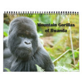 Kalender - Berggorillas von Ruanda (Titelbild)