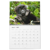 Kalender - Berggorillas von Ruanda (Mär 2027)