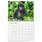Kalender - Berggorillas von Ruanda (Feb 2026)
