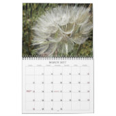 Kalender ~ Berries & Seeds (Mär 2027)