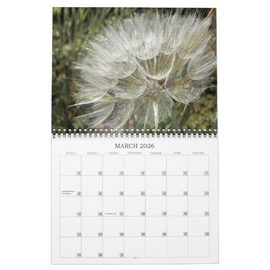 Kalender ~ Berries & Seeds (Mär 2026)