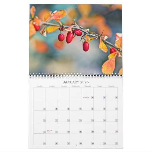 Kalender ~ Berries & Seeds (Jan 2026)