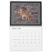 Kalender - besonders für Sie #2 (Feb 2027)