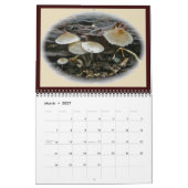 Kalender - besonders für Sie #2 (Mär 2027)