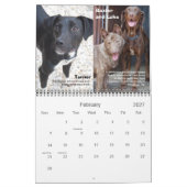 Kalender BHVF Rettungs-2011 (Feb 2027)