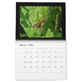 Kalender - Bienen, Hornets & Wasps (Feb 2026)