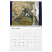 Kalender - Bienen, Hornets & Wasps (Mär 2027)