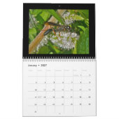 Kalender - Bienen, Hornets & Wasps (Jan 2027)