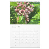 Kalender Bienen Schmetterlinge (Jan 2027)