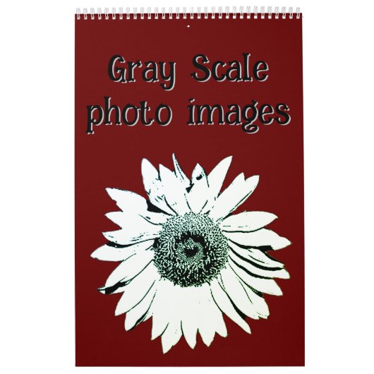 Kalender - Bilder des Fotos in grauer Skalierung (Titelbild)